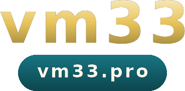 vm33 logo